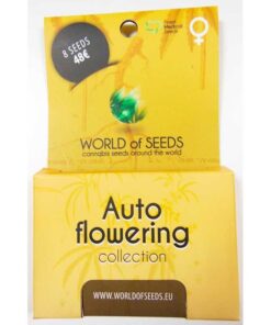 Autoflowering Collection auto World of Seeds