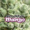 BrooklYn Mango fem Dr Underground