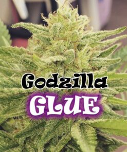 Godzilla Glue fem Dr Underground