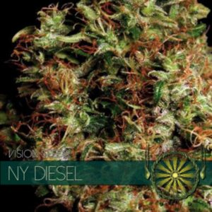 NY Diesel fem Vision Seeds