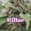 Pain Killer fem Dr Underground