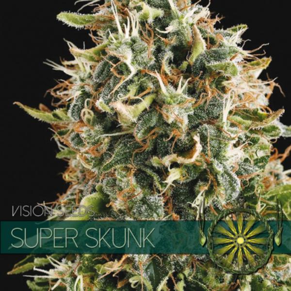 Super Skunk fem Vision Seeds