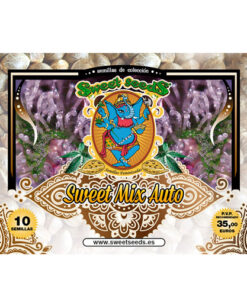 sweet mix sweet seeds campo di canapa