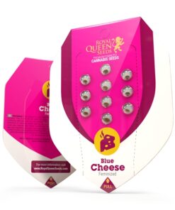 Blue Cheese fem Royal Queen Seeds