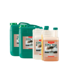 Alternative view of COGr Vega A+B 2X - (Canna)