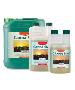 Alternative view of Canna Start - (Canna)