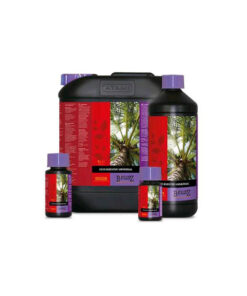 Coco Booster Universal - (atami)