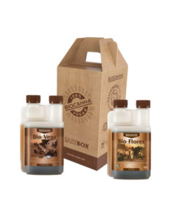 Alternative view of Easybox Bio - (Canna)