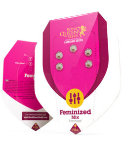 Royal Mix fem Royal Queen Seeds
