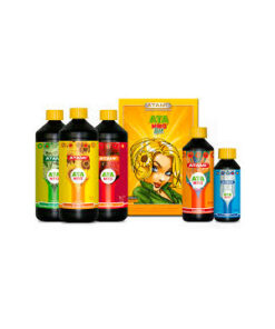 Organics Box - (Atami)