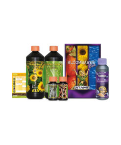 Terra Bloombastic Box - (Atami)