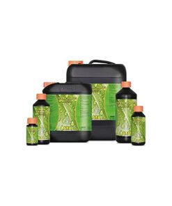 Terra Leaves - (Atami)