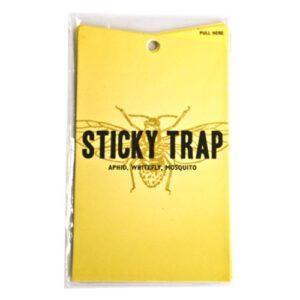GROWTH TECHNOLOGY - STICKY TRAPS GIALLE - 5 PZ