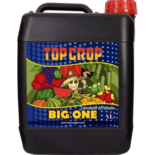 TOP CROP - BIG ONE - 5L