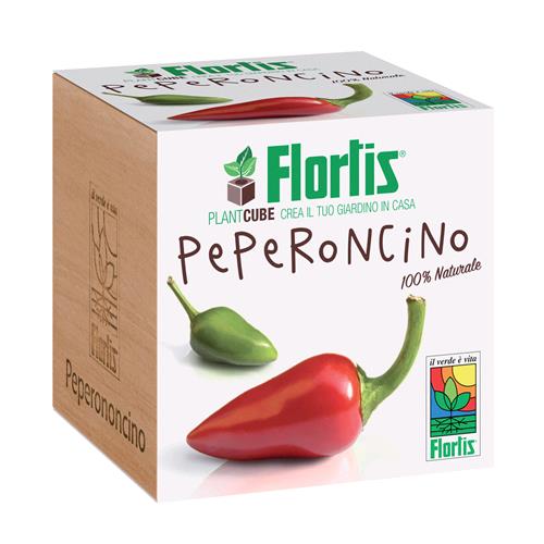 FLORTIS - PLANTACUBE PEPERONCINO