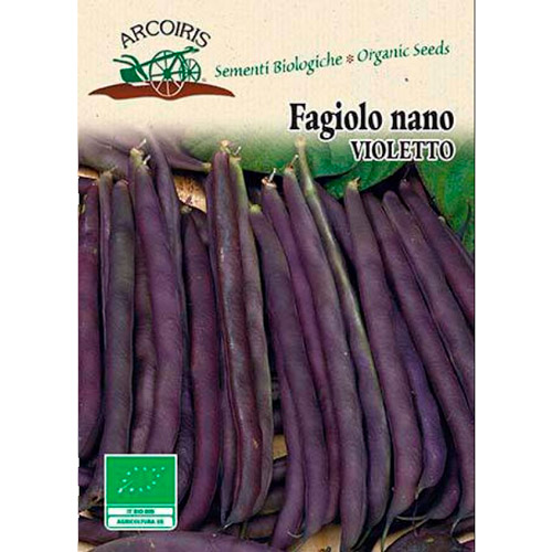 fagiolo nano purple queen armoires