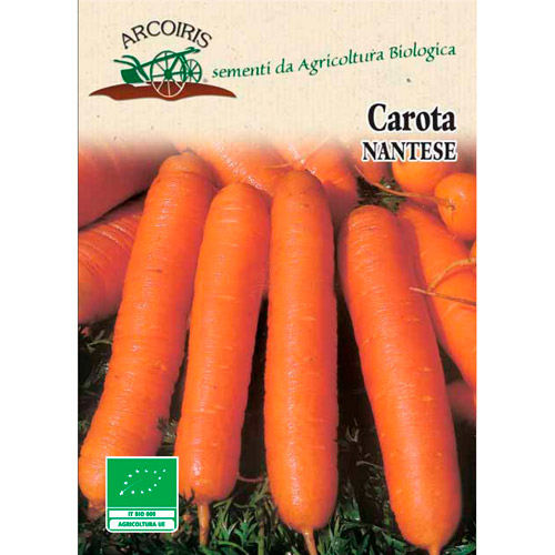 carota nantese arcoiris