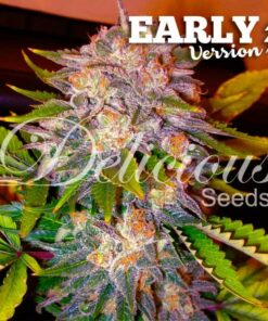 Caramelo early version Delicious Seeds