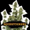 BCN Power Plant auto Seed Stockers