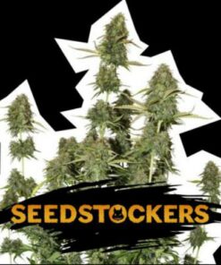 BCN Power Plant auto Seed Stockers