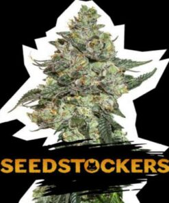 Girl Scout Cookies auto Seed Stockers
