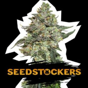Girl Scout Cookies auto Seed Stockers