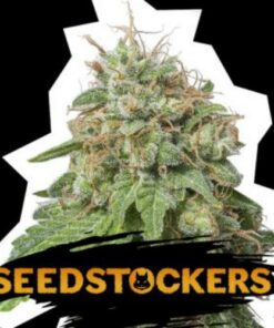 Green Crack auto Seed Stockers