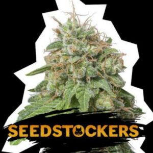 Green Crack auto Seed Stockers