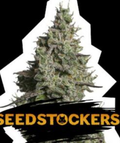 Moby Dick auto Seed Stockers