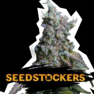 Sour Diesel auto Seed Stockers
