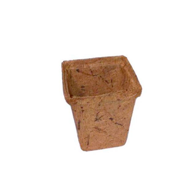 Vaso cocco 8x8 - (jiffy)