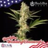 Buddha Wedding Cheesecake fem