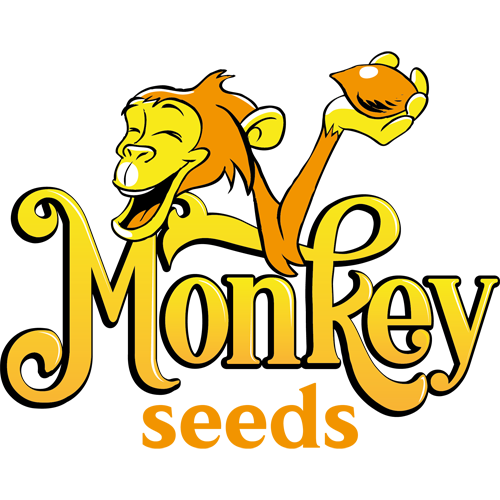 Logo Monkey Seeds