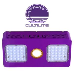 Cutilite 250w Focus
