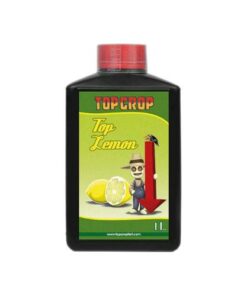 Top lemon - (Top Crop)