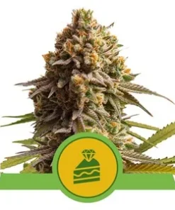 Wedding Cake - fem (ryl)