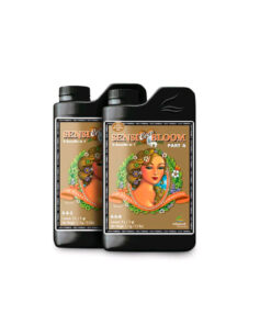 Sensi Coco Bloom A+B 2X - (Advanced Nutrients)