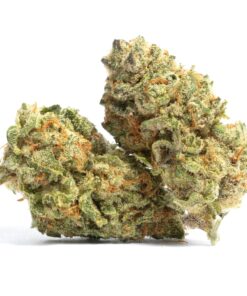 Super Skunk - auto (Monkey Seeds)