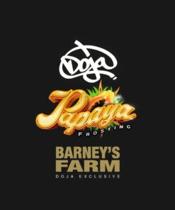 Papaya Frosting - fem (Barney's Farm)