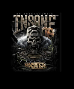 Insane OG - fem (Barney's Farm)