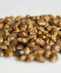 Semi di canapa interi  Bio Vegan ( su ordinazione)