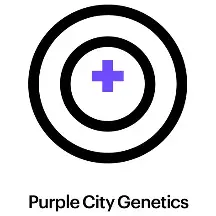 SR-71 -3 semi- (Purple City Genetics)